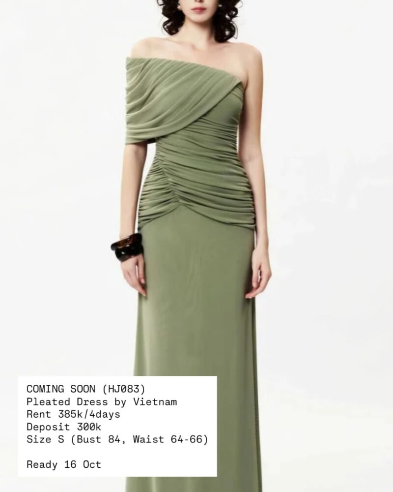 Ruched Pleated Dress