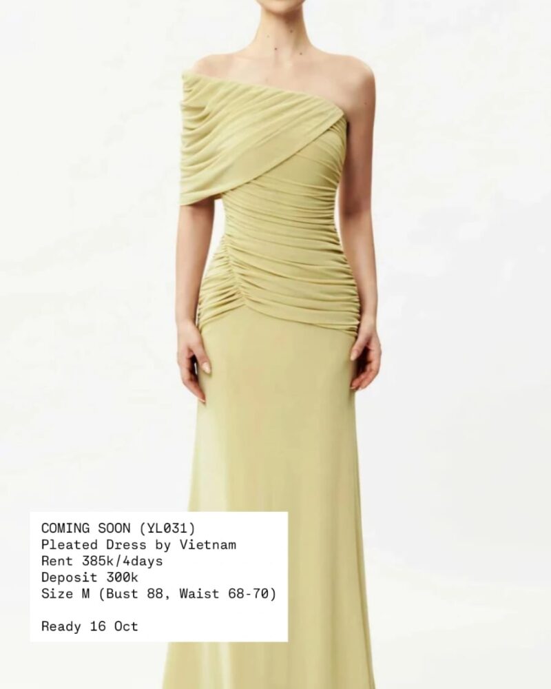 Ruched Pleated Dress